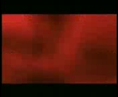 Домашнее видео с задницей в главной роли