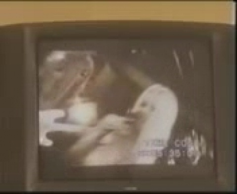 Домашний интим с молодым парнем