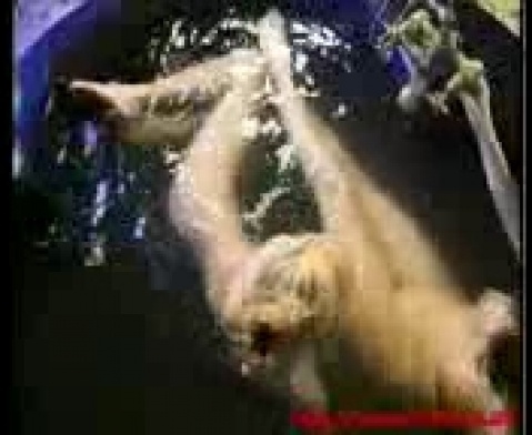 Интим впервые попка дома нежно и страстно