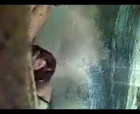 Порно видео для смартфона в формате mp4