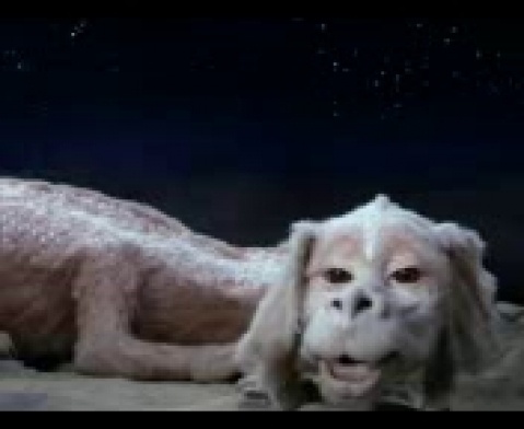 Порно видео первого секса дома