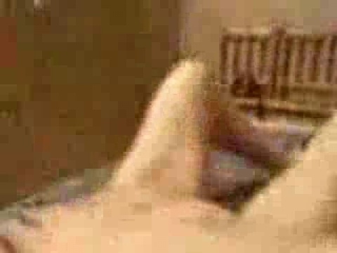 Порно видео секса с азиатками