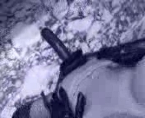 Пятачок Дэррил смотрел на домашнее порно