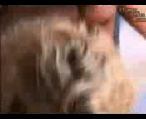 Семейное видео секса втроем на камеру