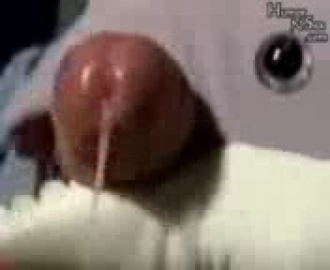 Школьницы занимаются инцестом в видео