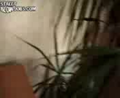 Скачивайте и смотрите русские порно видео-