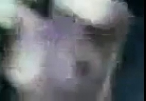 Видео секса на узбекском языке в интернете