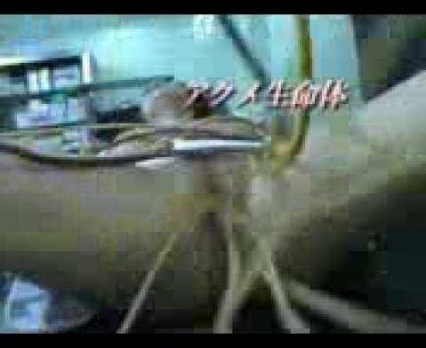 Зрелый интим домашний видео круто и откровенно